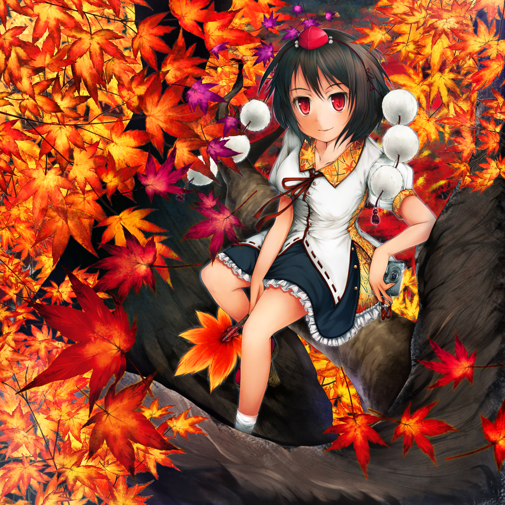 hubrael, shameimaru aya, touhou, 1girl, autumn, black hair, camera, female focus, hat, himitu, in tree, leaf, looking at viewer, open mouth, red eyes, short hair, sitting, sitting in tree, skirt, solo, tree