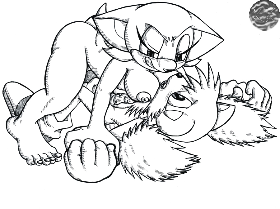 Rule34 – If it exists, there is porn of it / rouge the bat, tails / 119605