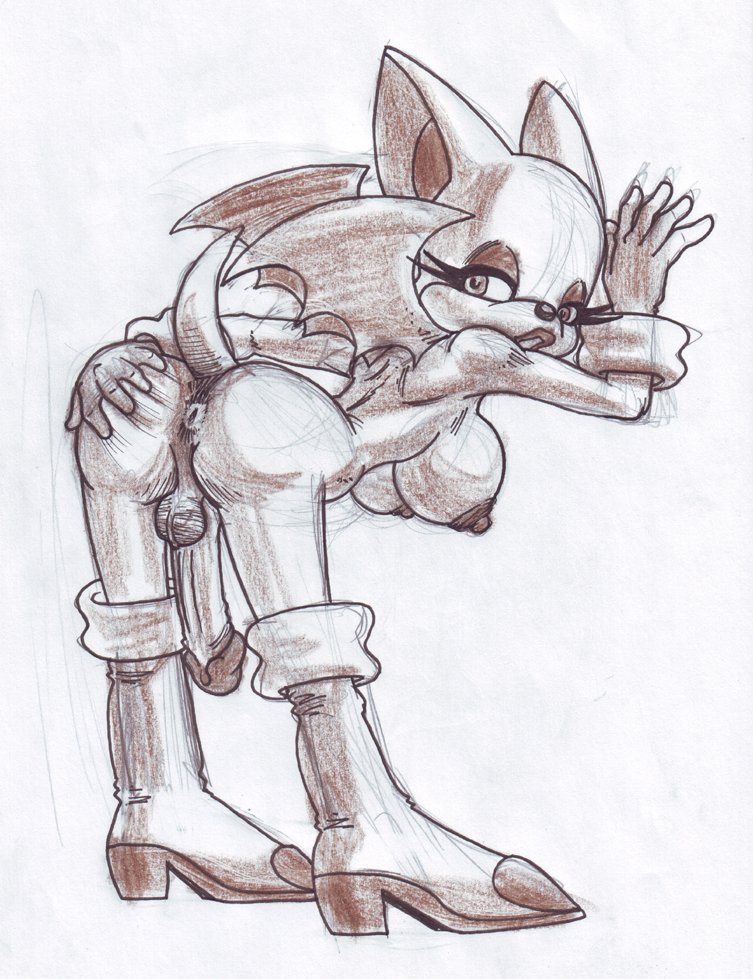 Rule34 – If it exists, there is porn of it / chacomics, rouge the bat / 119617