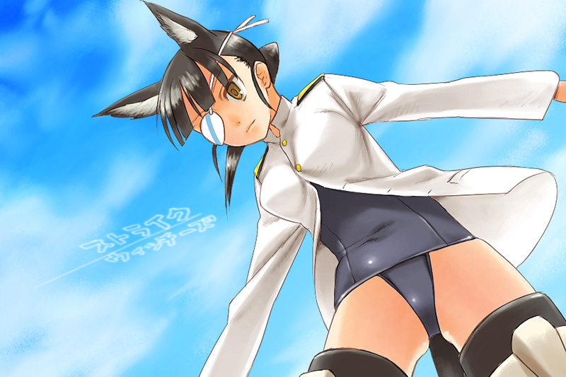 tamtam, sakamoto mio, strike witches, world witches series, uniform, bad id, bad pixiv id, 00s, 1girl, animal ears, black hair, brown eyes, eyepatch, female focus, no pants, one-piece swimsuit, ponytail, school swimsuit, solo, swimsuit, swimsuit under clothes, tail