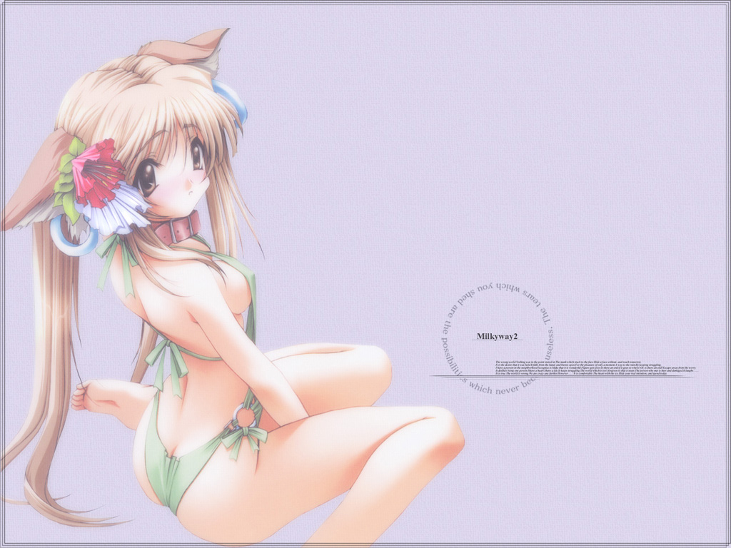 senomoto hisashi, inuzuka alice, milkyway, milkyway 2, official art, official wallpaper, 00s, 1girl, :o, animal ears, ass, back, barefoot, between thighs, blonde hair, blush, border, breasts, brown eyes, butt crack, casual one-piece swimsuit, collar, covered erect nipples, dog ears, earrings, embarrassed, feet, female focus, flower, frown, hair flower, hair ornament, halterneck, jewelry, leaf, legs, long hair, looking back, o-ring, o-ring swimsuit, one-piece swimsuit, ribbon, sideboob, simple background, sitting, slingshot swimsuit, small breasts, soles, solo, swimsuit, thighs, toes, twintails, very long hair, wariza