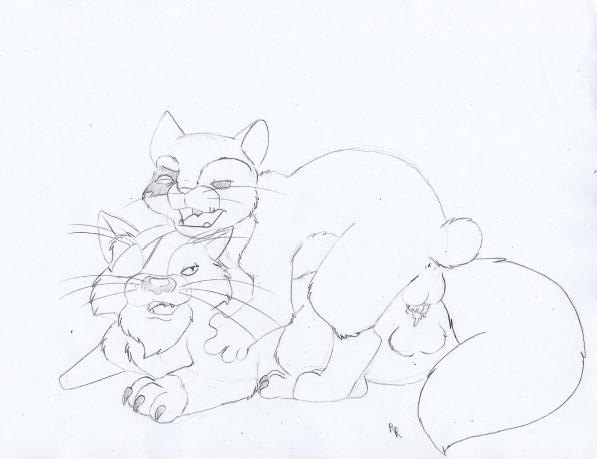 Rule34 – If it exists, there is porn of it / rascalraccoon, bluebeard / 120443