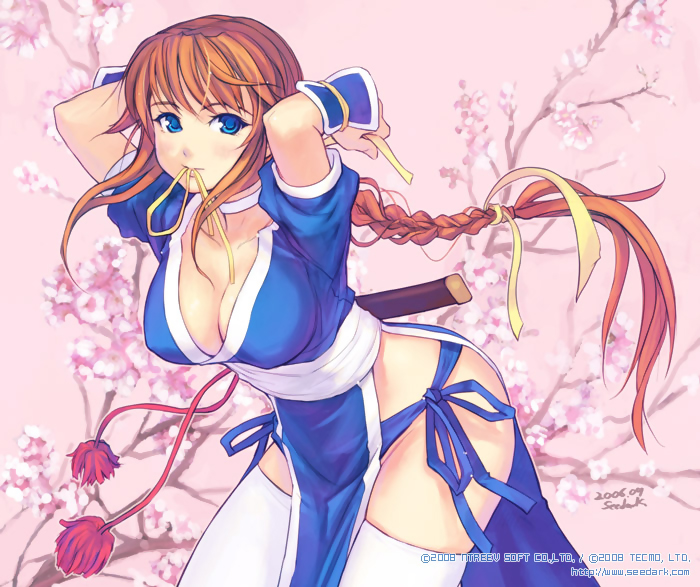 kasumi (doa), dead or alive, tecmo, artist request, 1girl, adjusting hair, bent over, blue eyes, braid, breasts, brown hair, cleavage, female focus, large breasts, long hair, mouth hold, panties, pelvic curtain, ribbon, solo, thighhighs, thong, tying, underwear