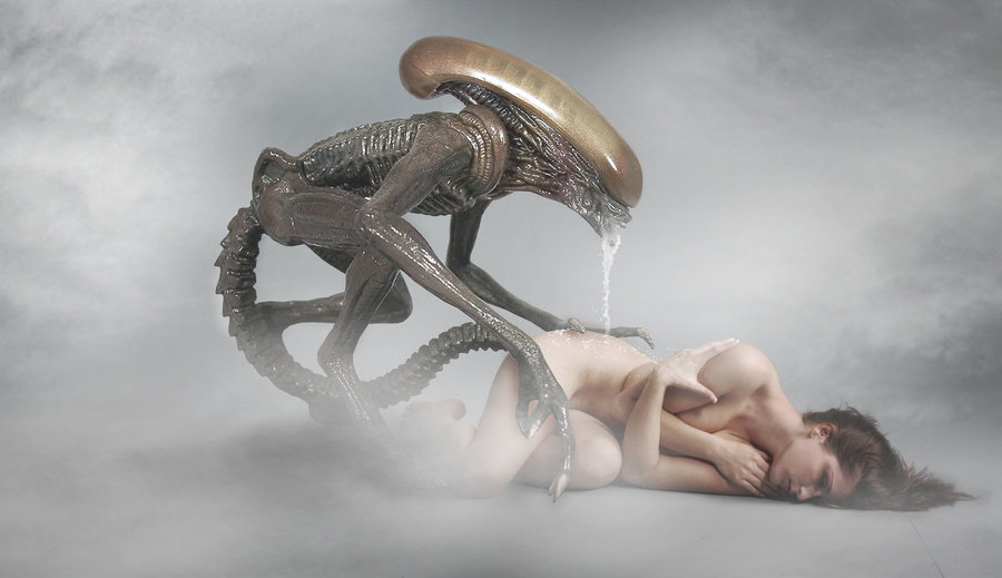 Rule34 – If it exists, there is porn of it / xenomorph / 120888