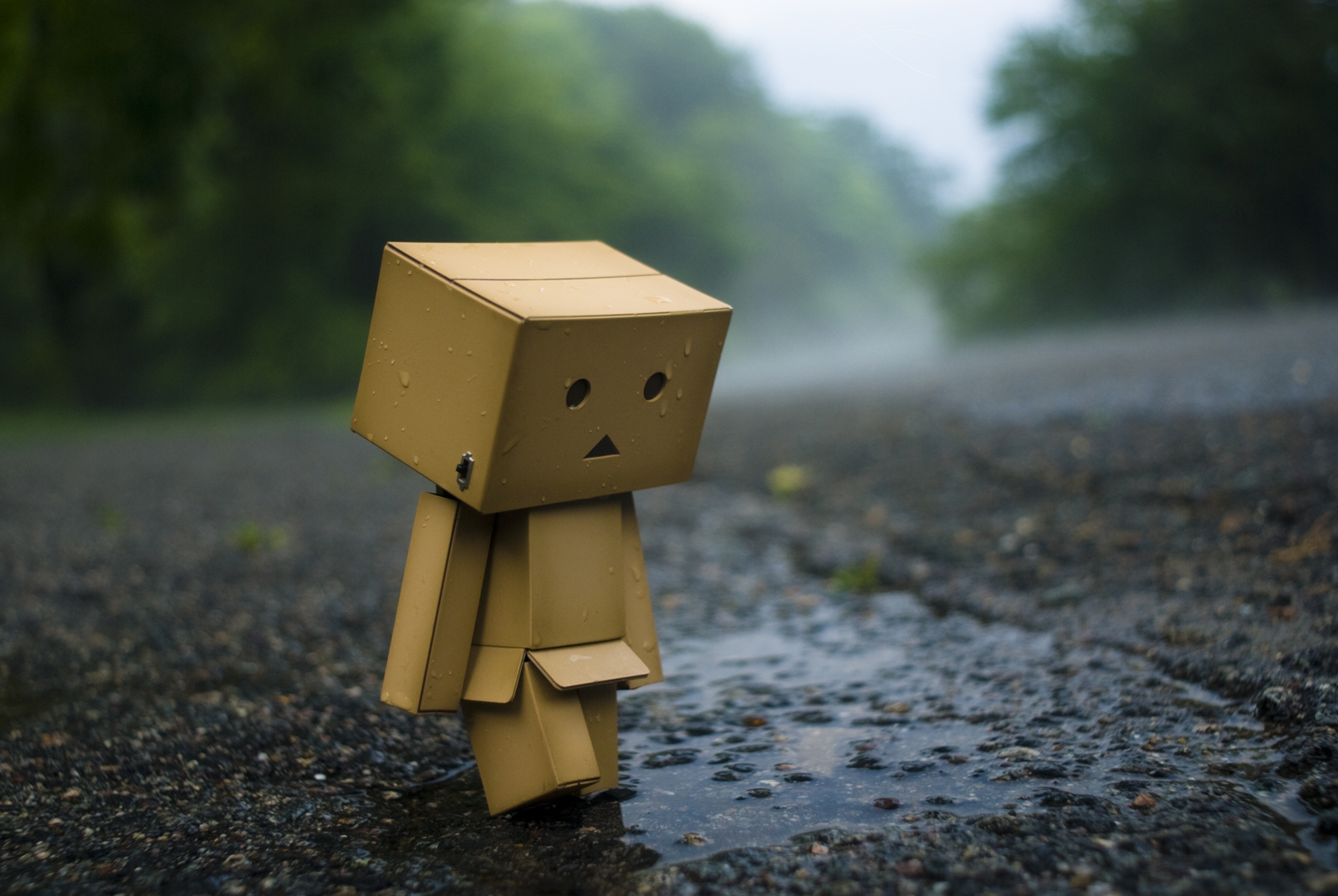 arielle nadel, azuma kiyohiko, danboo, yotsubato!, minimized, highres, photo (medium), figure, no humans, road, tree, water, wet