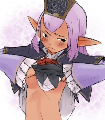 elvaan, prishe, final fantasy, final fantasy xi, lowres, 00s, 1girl, blush, clothes lift, elf, female focus, flat chest, grey eyes, long hair, pointy ears, purple hair, shirt lift, solo