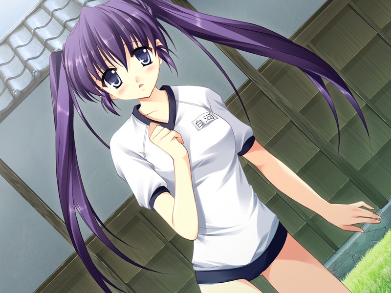 nanao naru, shirakawa tsumire, ar forgotten summer, game cg, non-web source, 1girl, buruma, dutch angle, female focus, gym uniform, long hair, purple eyes, purple hair, solo, twintails