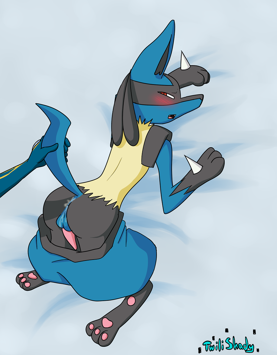 Rule34 – If it exists, there is porn of it / lucario, palkia / 121377