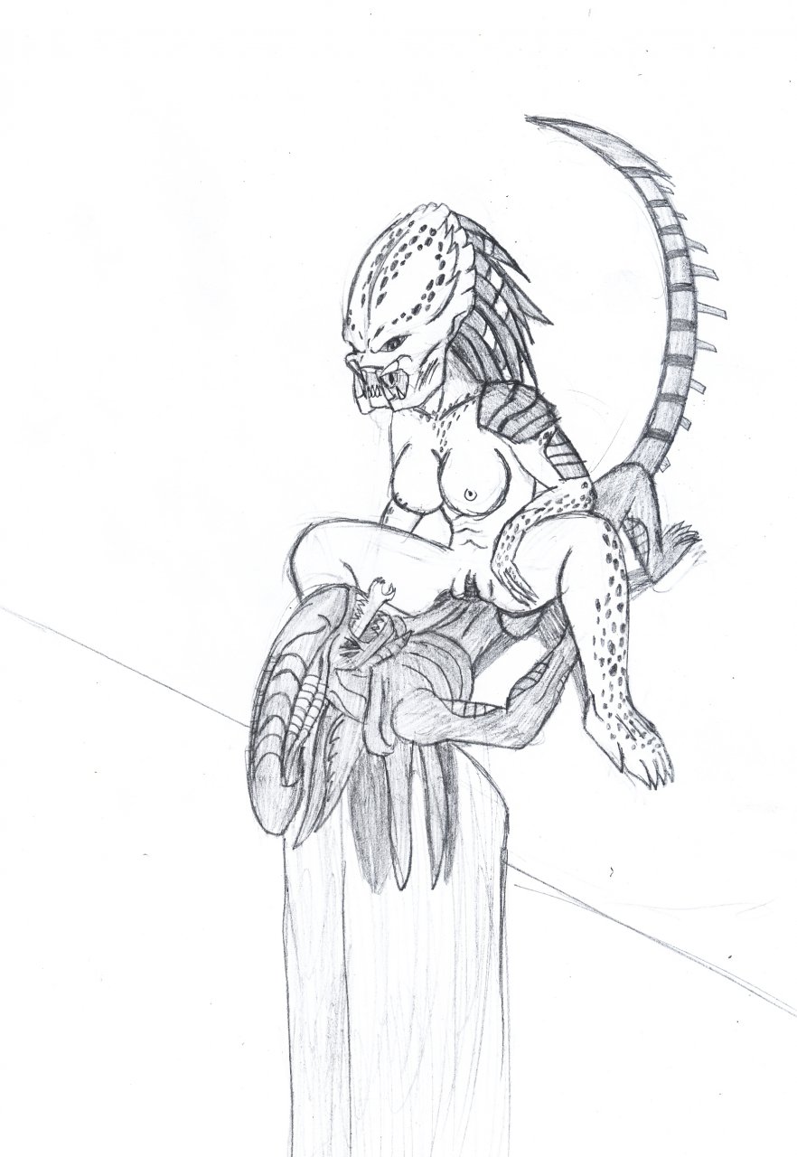 Rule34 – If it exists, there is porn of it / darkness789, predator, xenomorph, yautja / 121508