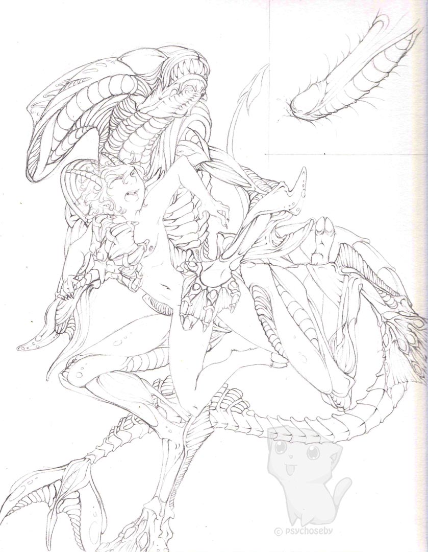 Rule34 – If it exists, there is porn of it / xenomorph / 121513