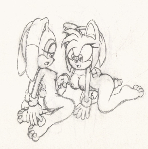 Rule34 – If it exists, there is porn of it / amy rose, cream the rabbit / 121530