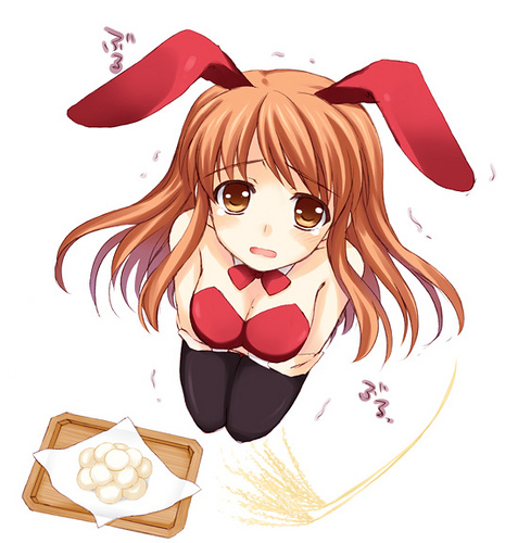 asahina mikuru, kyoto animation, suzumiya haruhi no yuuutsu, artist request, lowres, tagme, translation request, 00s, 1girl, breasts, female focus, full body, playboy bunny, simple background, solo