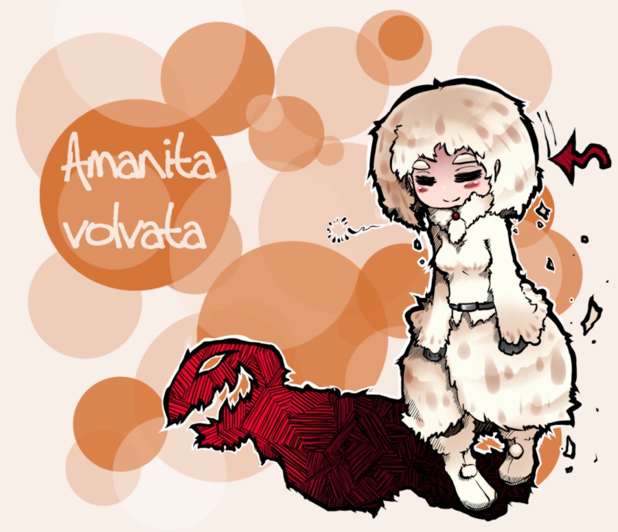 oso (toolate), amanita volvata, original, oso-teki kinoko gijinka zukan, fur, 1girl, = =, belt, blush, boots, brown hair, chibi, closed eyes, female focus, gloves, mushroom, personification, scarf, short hair, skirt, smile, solo, text focus, white hair