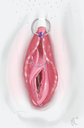 Rule34 – If it exists, there is porn of it / ratofponi, rarity (mlp) / 122471