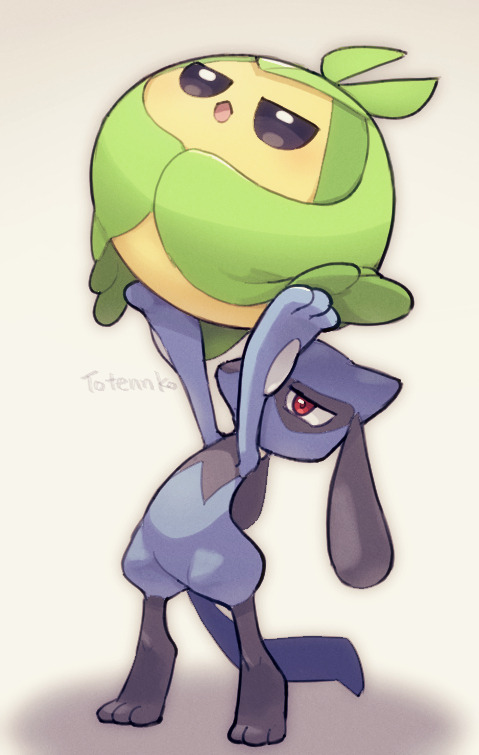 totennko, riolu, swadloon, nintendo, pokemon, arms up, artist name, black fur, blue fur, gen 4 pokemon, gen 5 pokemon, holding, holding pokemon, open mouth, pokemon (creature), red eyes, red hair, signature, simple background, standing, tail, two-tone fur, white background