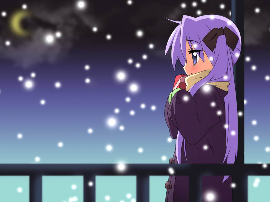 hiiragi kagami, lucky star, 00s, coat, long hair, night, profile, purple eyes, purple hair, scarf, snow, solo