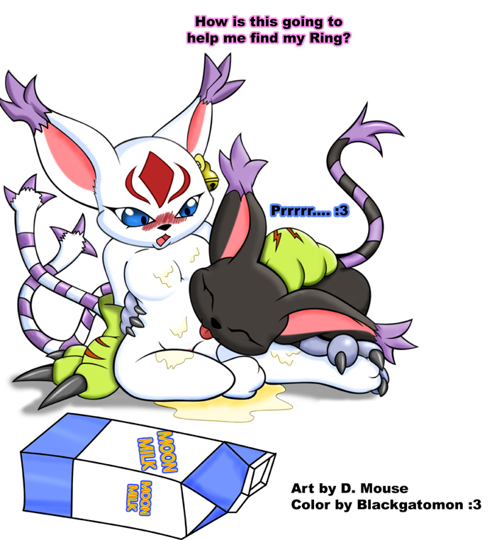 Rule34 – If it exists, there is porn of it / blackgatomon, blacktailmon, gatomon, gatomon x, tailmon, tailmon x / 123568