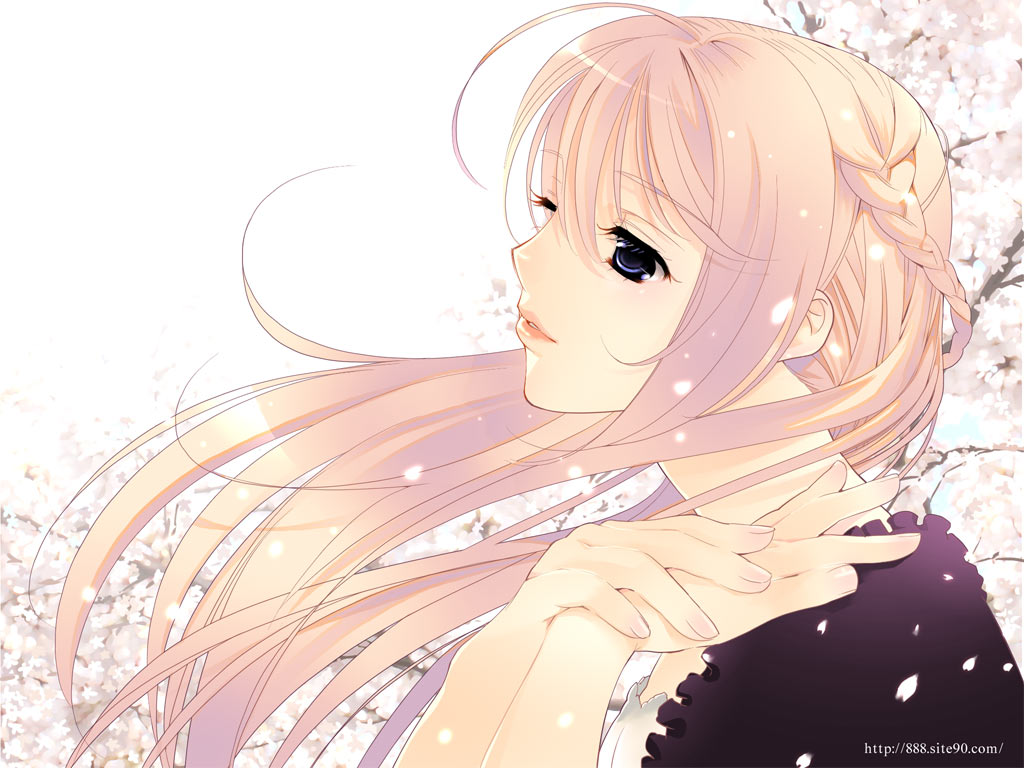 888, tagme, blue eyes, braid, cherry blossoms, long hair, petals, solo