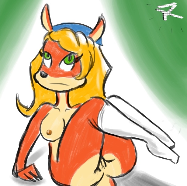 Rule34 – If it exists, there is porn of it / captainr, coco bandicoot / 124766