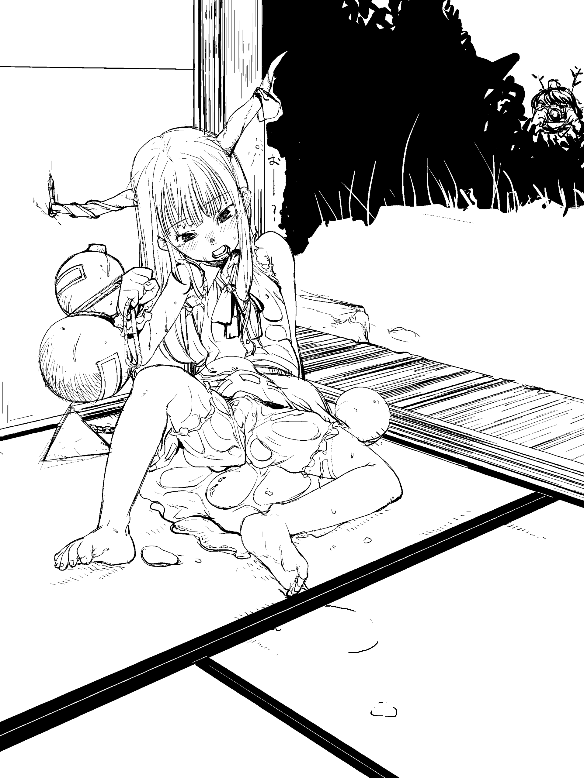 mizu, mizu exp, ibuki suika, shameimaru aya, touhou, absurdres, highres, 2girls, barefoot, bloomers, camera, feet, female focus, full body, greyscale, horns, long hair, monochrome, multiple girls, ribbon, sitting, tatami, underwear, wet