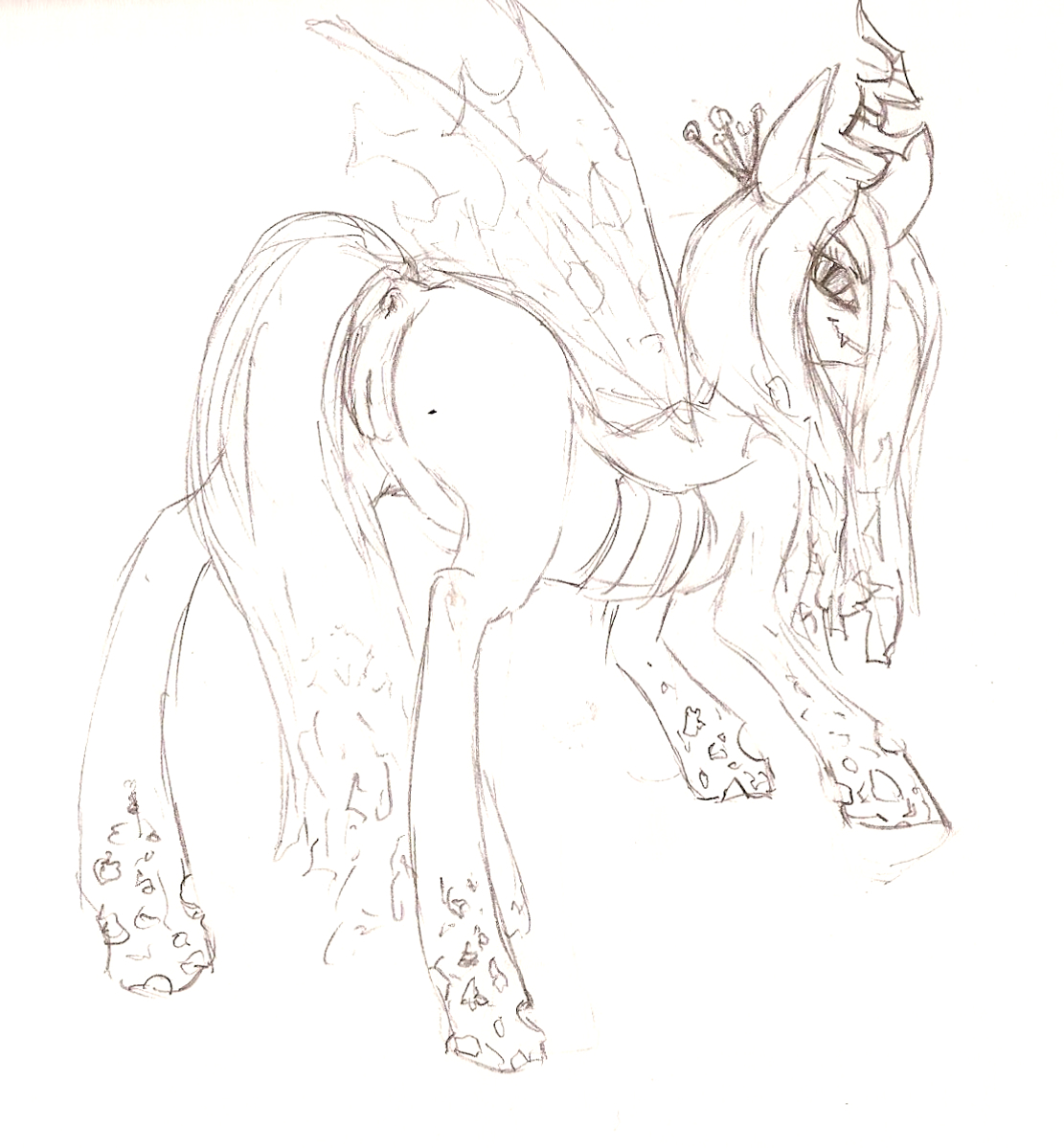 Rule34 – If it exists, there is porn of it / corporeality, queen chrysalis / 125265