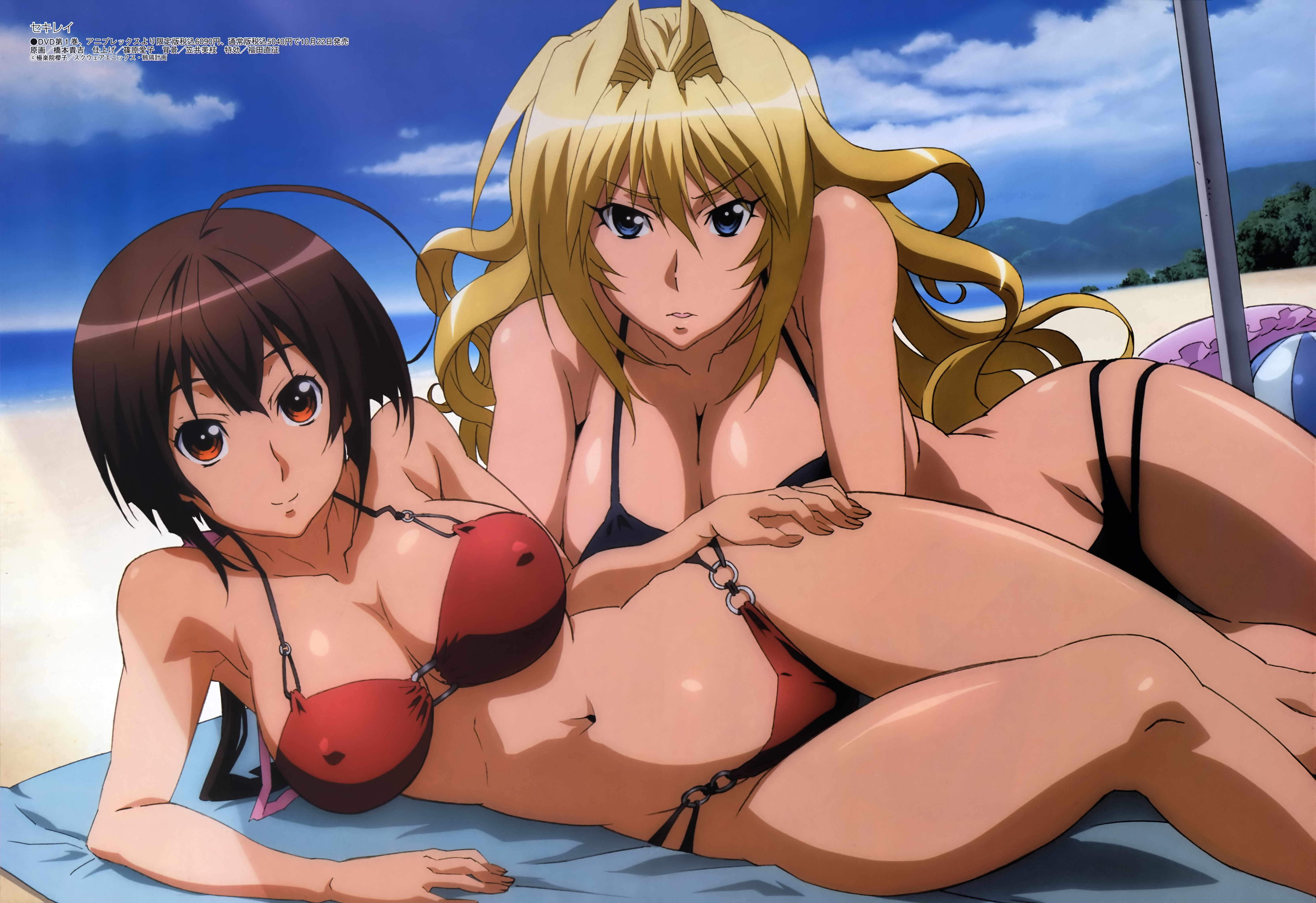 hashimoto takayoshi, musubi, tsukiumi, megami magazine, sekirei, absurdres, highres, non-web source, official art, scan, 00s, 2girls, ahoge, ball, beach, beachball, bikini, black hair, blonde hair, blue eyes, breasts, brown hair, cleavage, cloud, covered erect nipples, day, hair intakes, innertube, large breasts, legs, long hair, lying, multiple girls, navel, on side, on stomach, orange eyes, outdoors, ponytail, sky, smile, swim ring, swimsuit, towel, umbrella, very long hair, water, wavy hair, wide hips