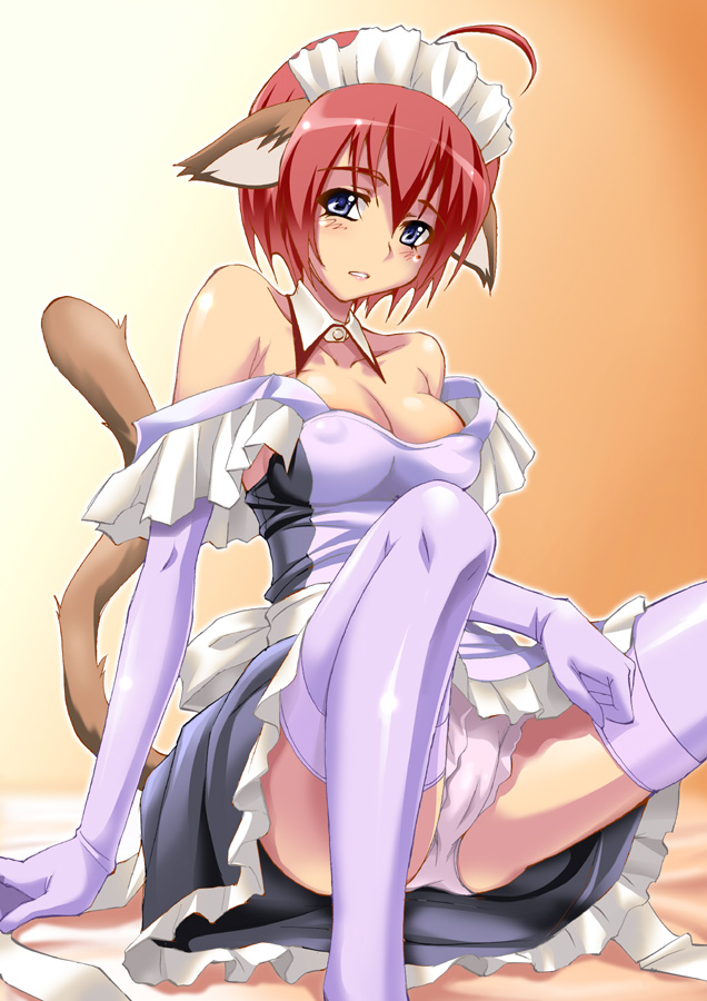 shiruko (inosin), original, 1girl, ahoge, animal ears, bare shoulders, breasts, cat ears, cat tail, cleavage, ears down, female focus, legs, maid, medium breasts, mole, mole under eye, panties, pantyshot, pink thighhighs, sitting, solo, tail, thighhighs, underwear, white thighhighs