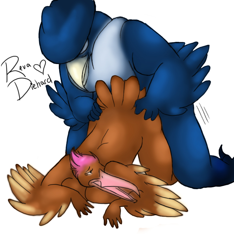 Rule34 – If it exists, there is porn of it / revadiehard, fearow, honchkrow / 125890