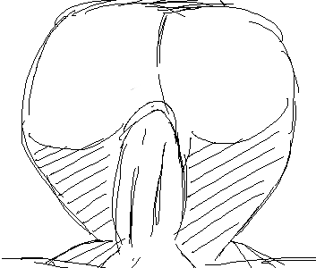 Rule34 – If it exists, there is porn of it / fupoo, fiora laurent / 126471