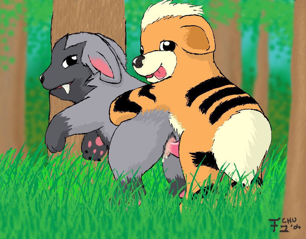 Rule34 – If it exists, there is porn of it / growlithe, poochyena / 126555