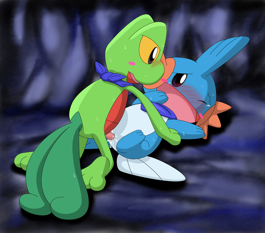 Rule34 – If it exists, there is porn of it / mudkip, treecko / 126556