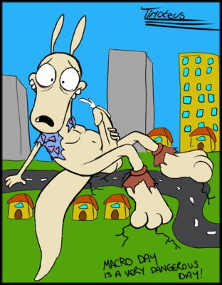 Rule34 – If it exists, there is porn of it / rocko / 126578