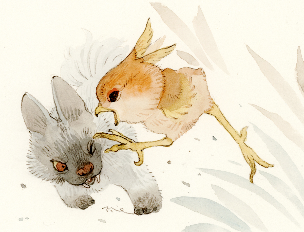 myun (moukin no ana), poochyena, torchic, nintendo, pokemon, pokemon rse, bird, body fur, fangs, fighting, gen 3 pokemon, grey fur, no humans, one eye closed, orange feathers, pokemon (creature), pokemon focus