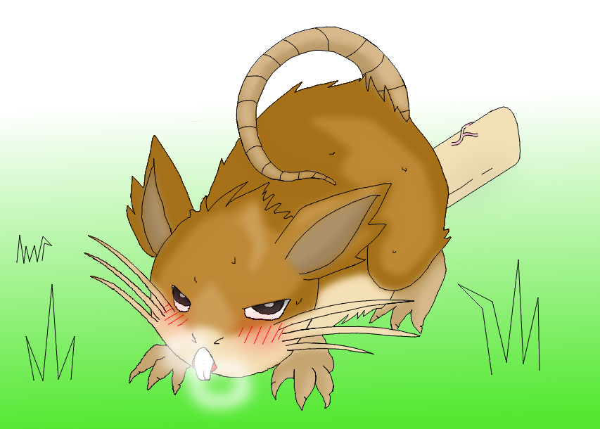 Rule34 – If it exists, there is porn of it / raticate / 127284