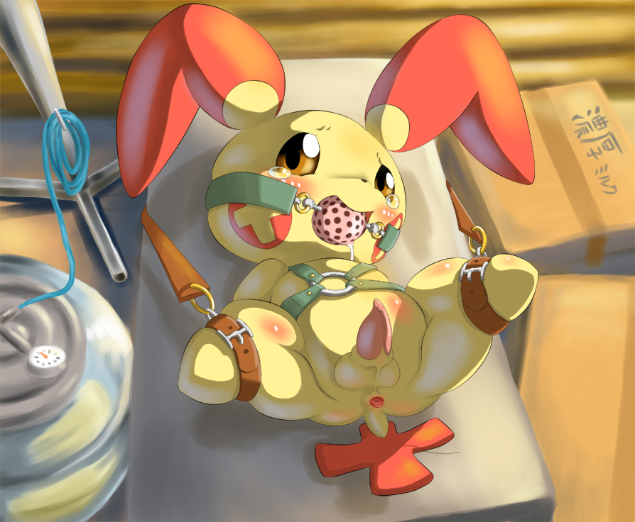 Rule34 – If it exists, there is porn of it / tamanosuke, plusle / 127360