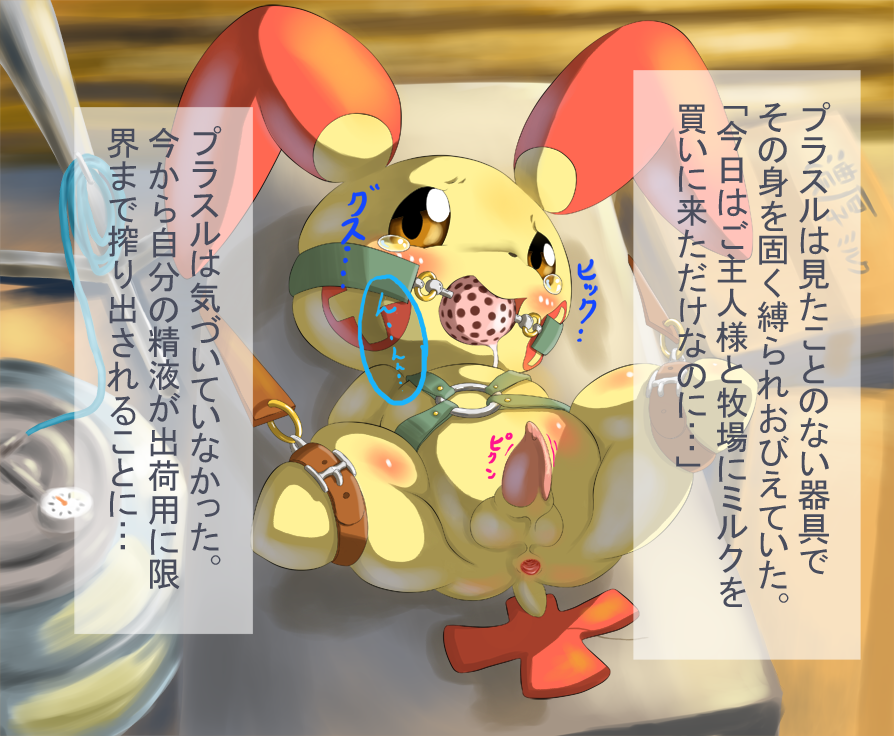 Rule34 – If it exists, there is porn of it / tamanosuke, plusle / 127362