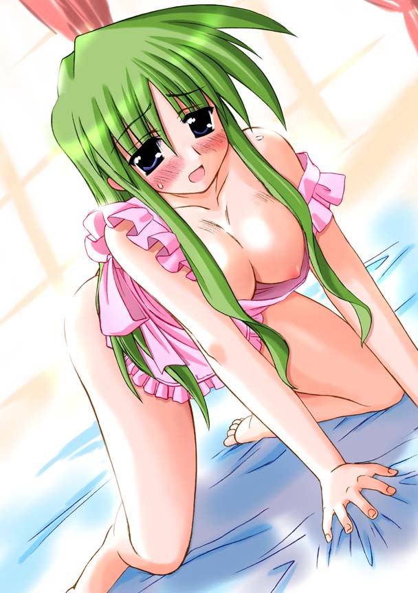 sugina fujitaka, nanase sachie, torikoro, 1girl, all fours, apron, blue eyes, breasts, female focus, green hair, housewife, large breasts, long hair, mature female, naked apron, nipples, solo