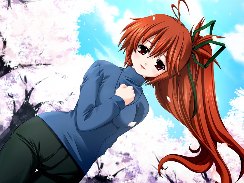yamaoka akira, aries lovedream, circus (studio), circusland i, game cg, non-web source, 1girl, brown hair, cherry blossoms, dutch angle, female focus, long hair, pants, ponytail, red eyes, solo, sweater, thigh gap