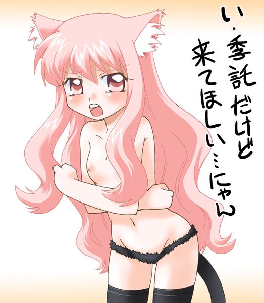 louise francoise le blanc de la valliere, zero no tsukaima, artist request, non-web source, translation request, 00s, animal ears, cat ears, cat tail, flat chest, loli, nipples, pink eyes, pink hair, solo, tail, thighhighs, topless female