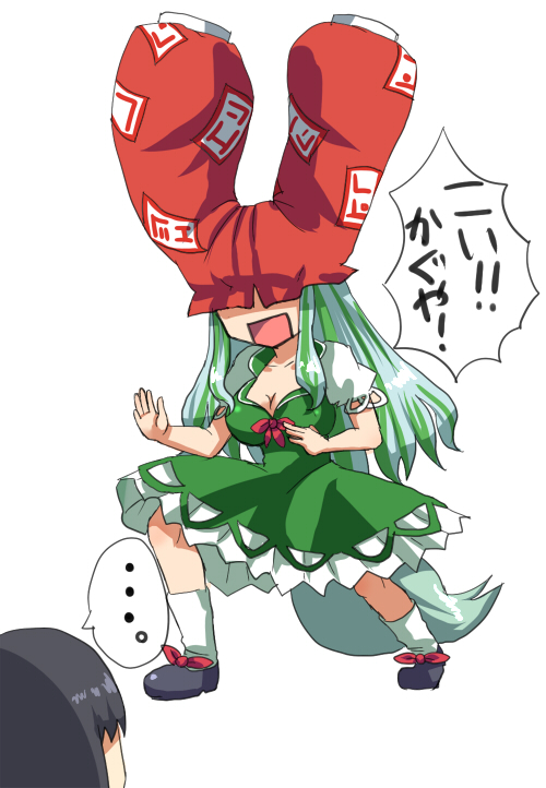 mizu mochi, ex-keine, houraisan kaguya, kamishirasawa keine, pantsman, touhou, translated, 2girls, breasts, dress, female focus, green hair, long hair, multiple girls, pants, pants on head, simple background, tail, white background