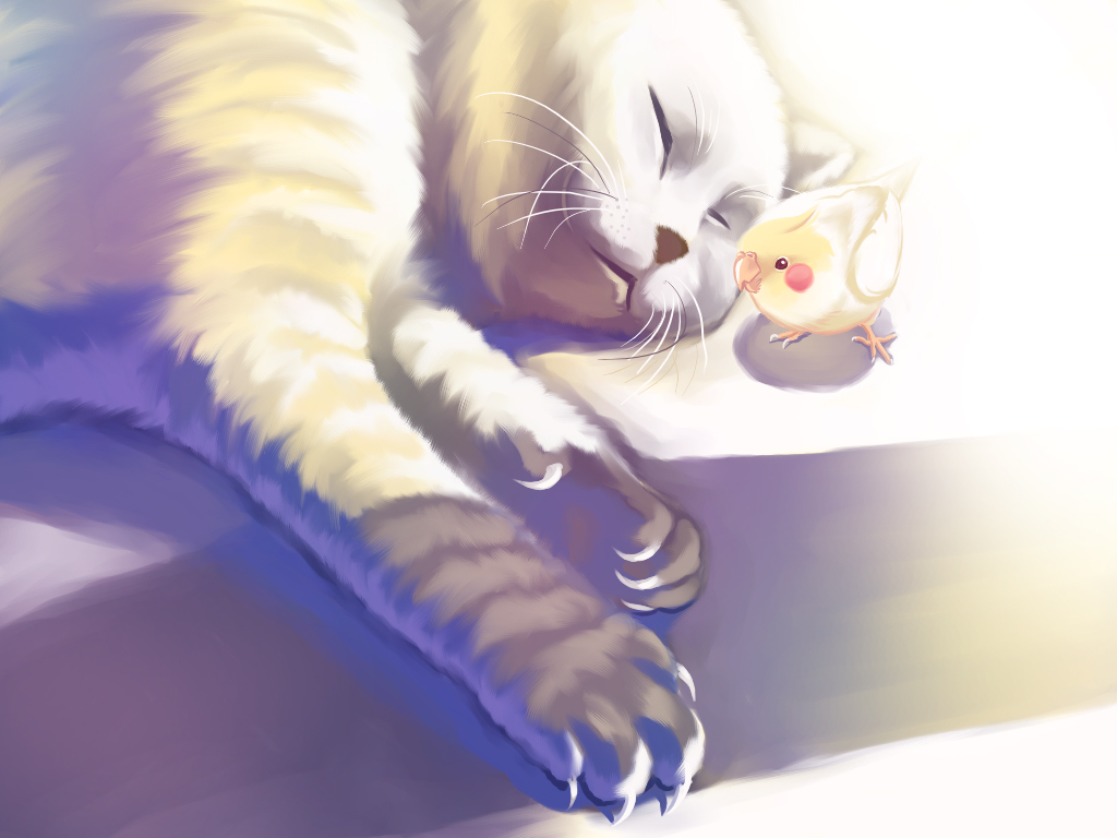 era (traveling bird), fishball, original, bad id, bad pixiv id, animal, animal focus, bird, cat, claws, cockatiel, no humans, realistic, sleeping