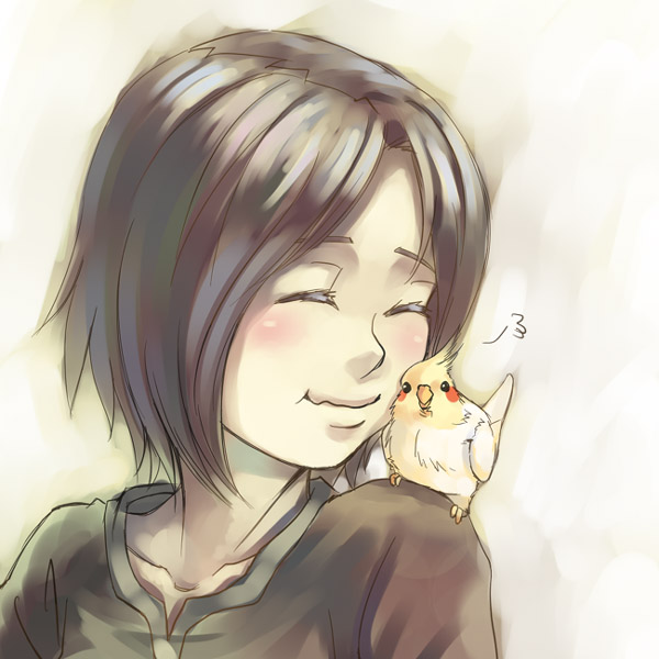 era (traveling bird), fishball, original, bad id, bad pixiv id, 1girl, animal, animal on shoulder, bird, bird on shoulder, blush, brown hair, cheek-to-cheek, closed eyes, cockatiel, female focus, friends, heads together, parrot, short hair, smile, solo