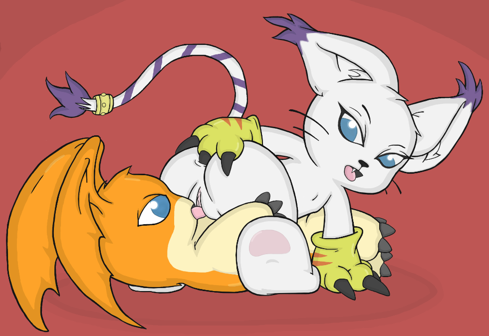 Rule34 – If it exists, there is porn of it / gatomon, patamon / 128869
