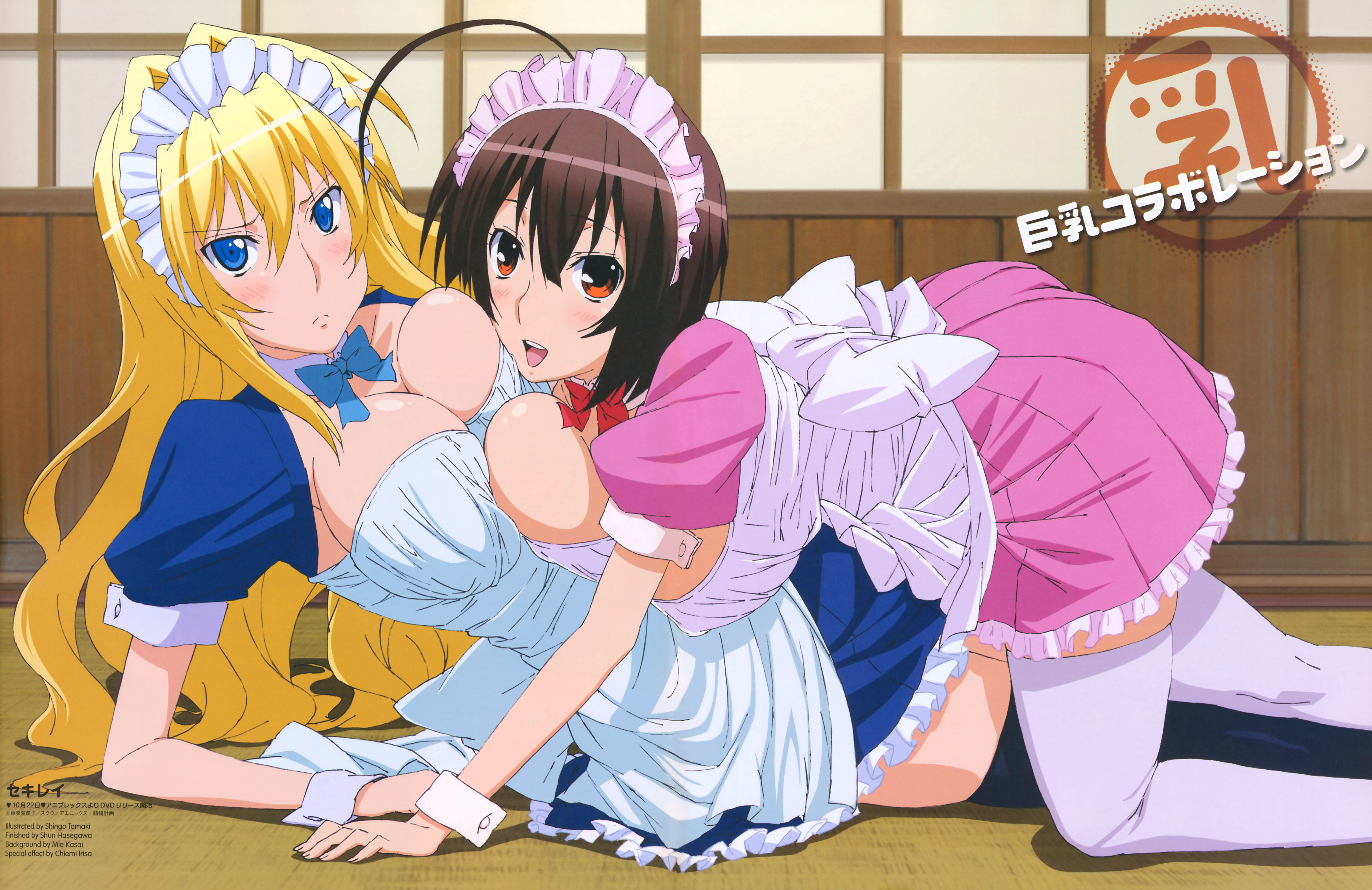 tamaki shingo, musubi, tsukiumi, sekirei, absurdres, highres, non-web source, 00s, 2girls, ahoge, all fours, black hair, blonde hair, blue eyes, blush, bow, breasts, brown hair, cleavage, frown, large breasts, long hair, lying, maid, multiple girls, on side, orange eyes, short hair, thighhighs, white thighhighs, wrist cuffs