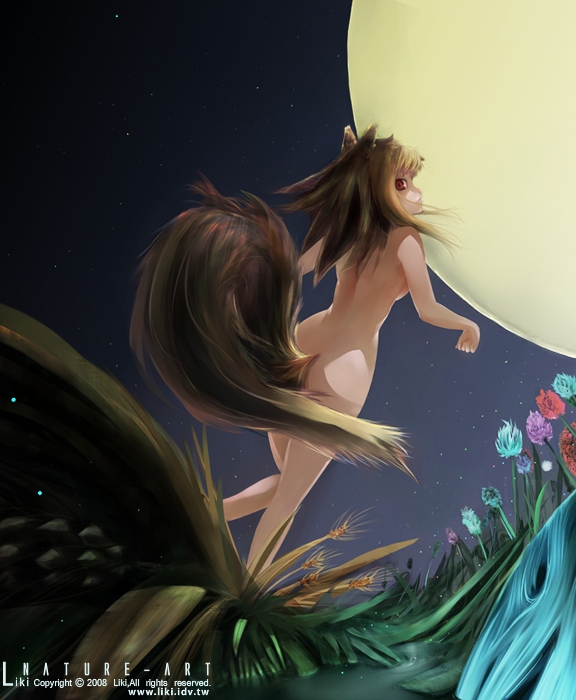 liki, holo, spice and wolf, 00s, 1girl, animal ears, ass, breasts, brown hair, female focus, flower, moon, nature, night, nude, outdoors, red eyes, sky, solo, tail, water, wheat, wolf ears, wolf tail, zenra