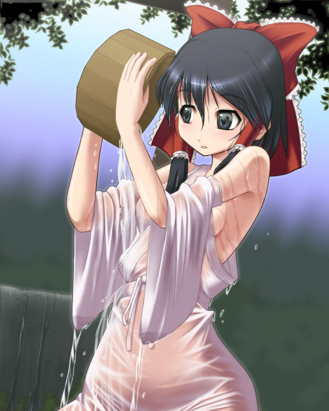 you naka, hakurei reimu, touhou, 1girl, black eyes, black hair, female focus, gradient background, nature, outdoors, plant, ribbon, see-through clothes, solo, water, wet, wet clothes