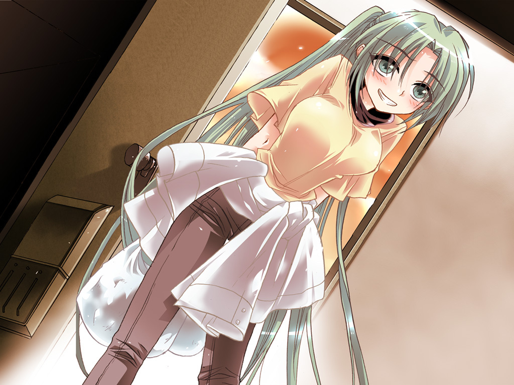 fujitaka (akasora), fujitaka akasora, sonozaki mion, higurashi no naku koro ni, 00s, 1girl, bag, blush, female focus, green eyes, green hair, long hair, matching hair/eyes, ponytail, solo