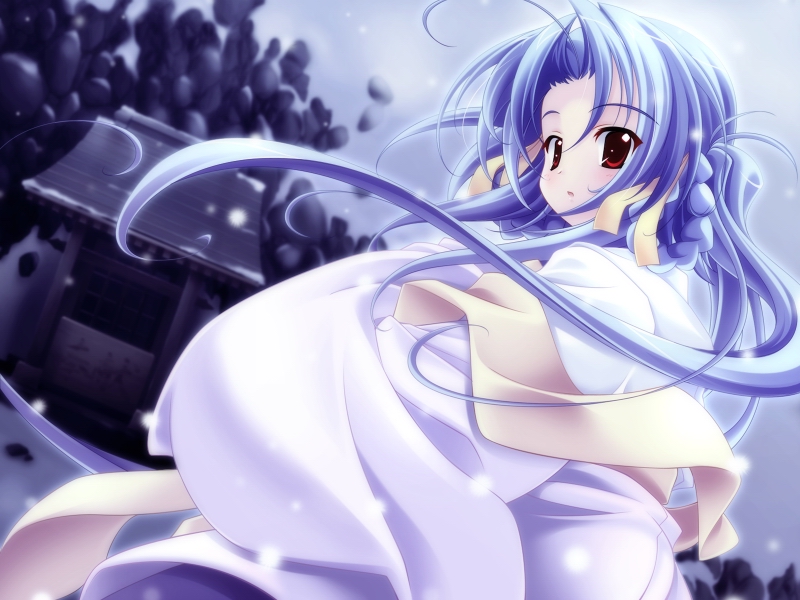 yunohana, game cg, 1girl, blue hair, braid, female focus, japanese clothes, kimono, long hair, looking back, red eyes, shrine, solo, twin braids