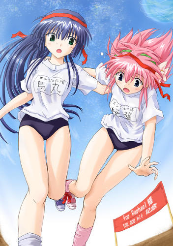 karasuma chitose, milfeulle sakuraba, galaxy angel, lowres, non-web source, 00s, 2girls, blue hair, buruma, gym uniform, milestone celebration, multiple girls, pink hair, running, tripping