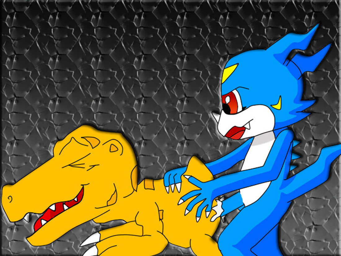 Rule34 – If it exists, there is porn of it / agumon, veemon / 131623